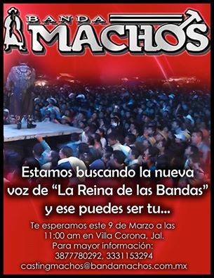 bandamachos