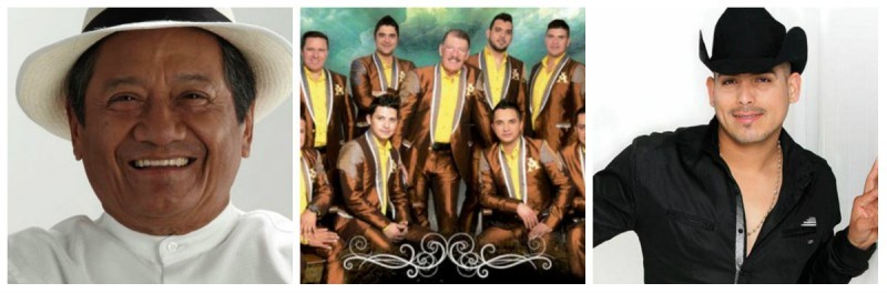 collagelarrolladora