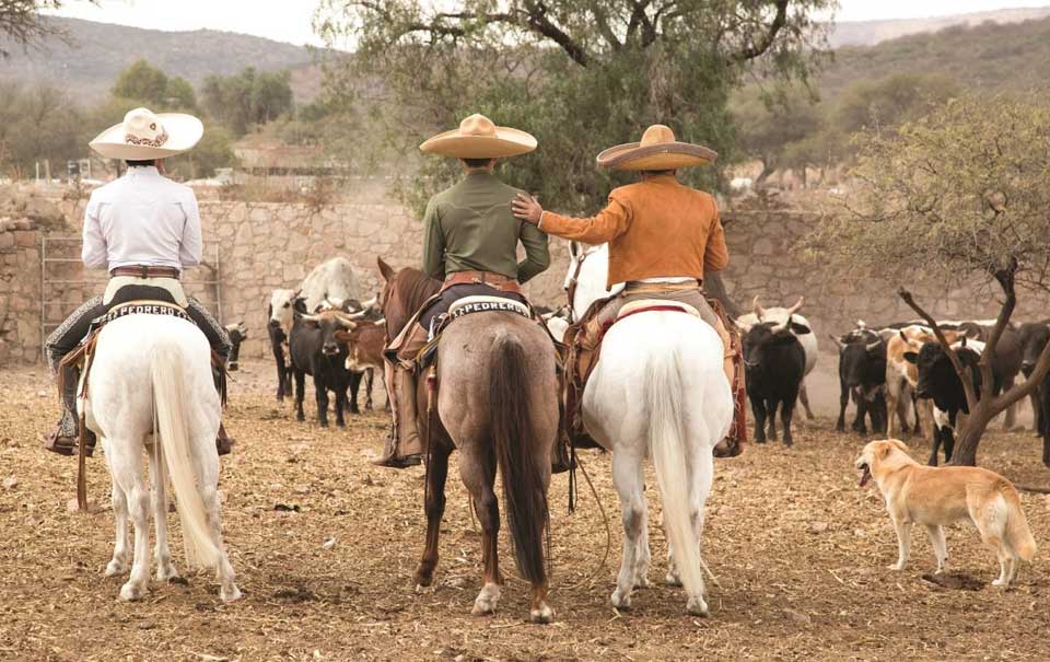 LAS 10 MEJORES FRASES DE UN RANCHERO PARA COMPARTIR