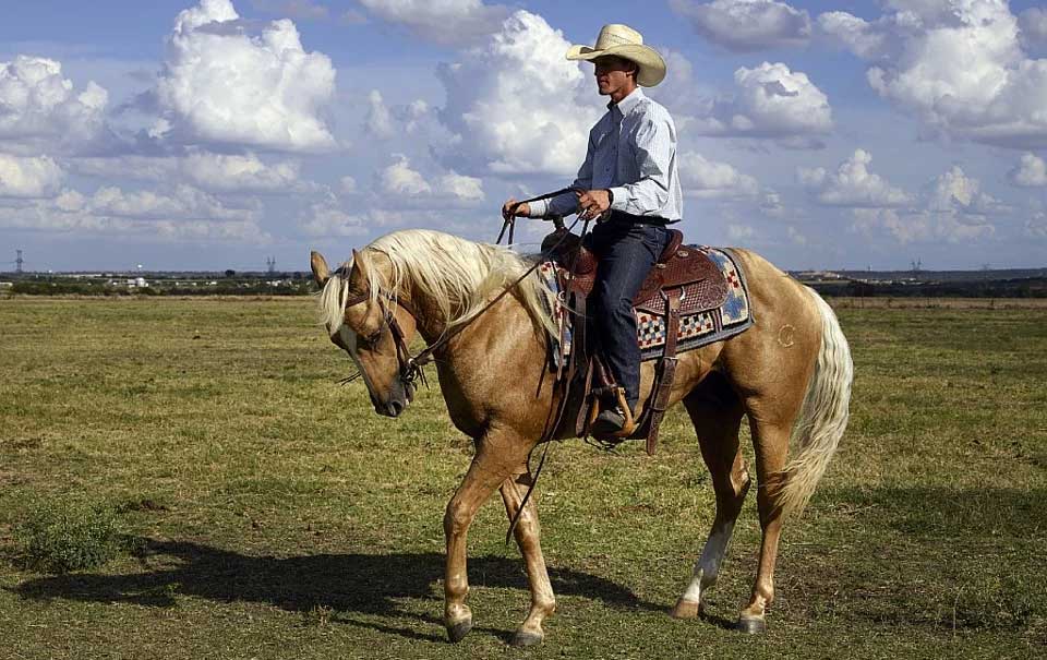 ranchero sobre caballo