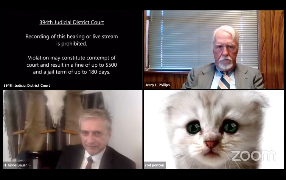 VIDEO: Abogado aparece con filtro de gatito durante una audiencia virtual