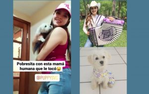 Los 10 perros de los Gruperos: Descubre a sus mascotas 10