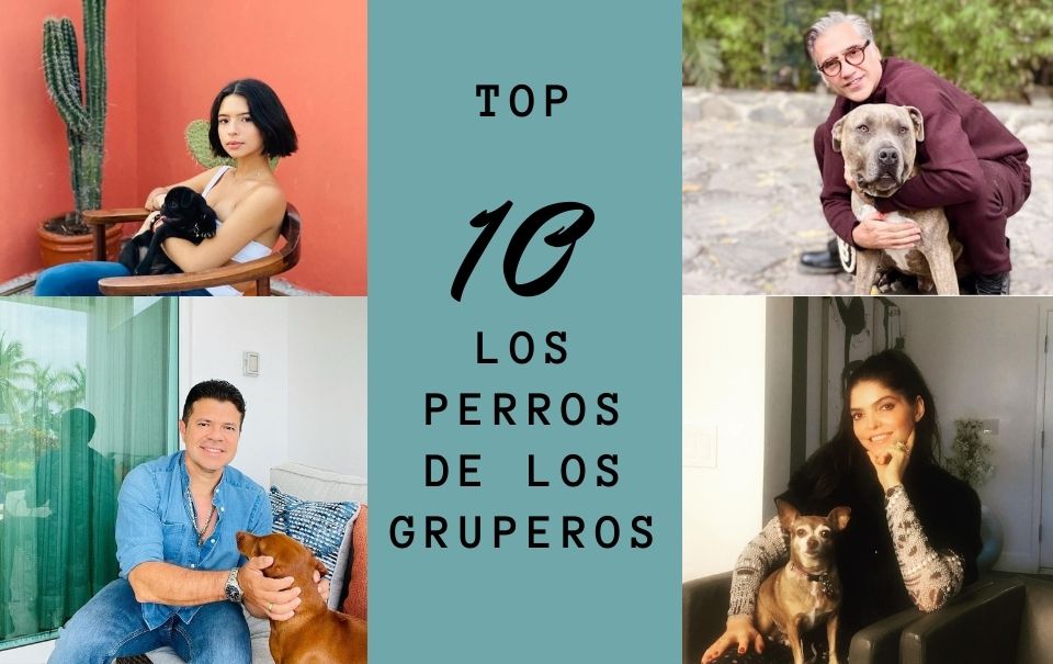 Los 10 perros de los Gruperos: Descubre a sus mascotas