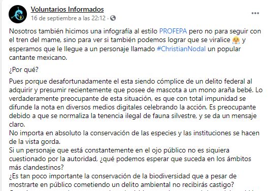 Nodal es denunciado ante la PROFEPA por tener un mono araña de mascota 1