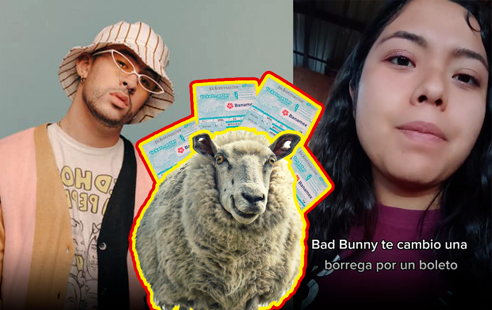Joven de Guanajuato ofrece borrego a Bad Bunny por un boleto