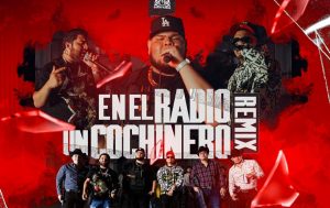 En el radio un cochinero, significados