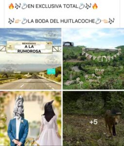 boda huitlacoche meme