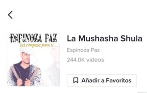 Espinoza Paz, La Mushasha shula