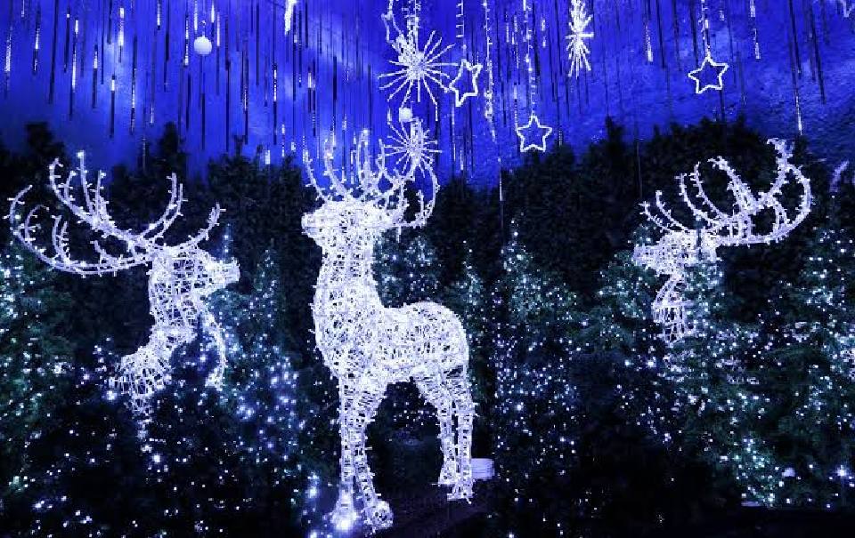 Llega Brilla, Una Navidad en el Bosque a Parque Naucalli, horarios, precios y más