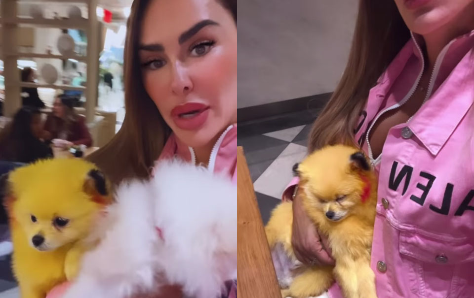 Ninel Conde, maltrato animal, perro amarillo