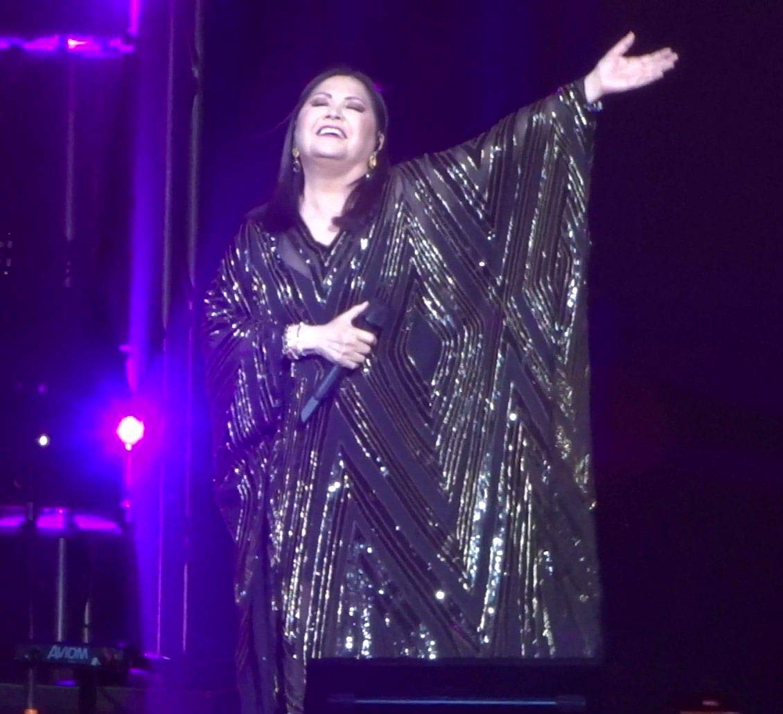 Ana Gabriel, retiro