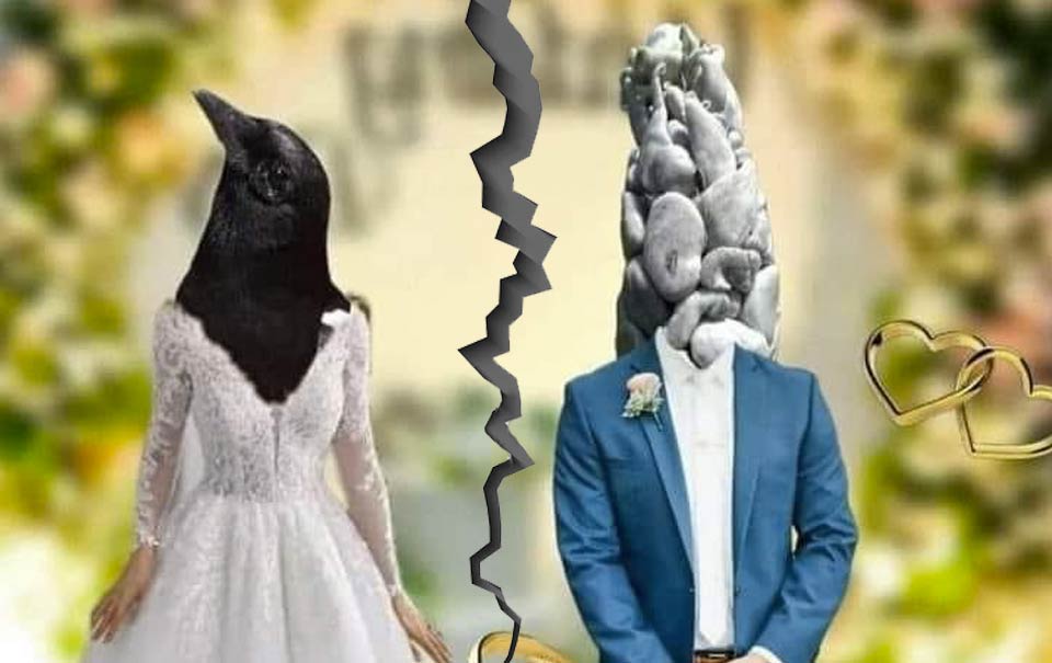 el-huitlacoche-se-divorcio