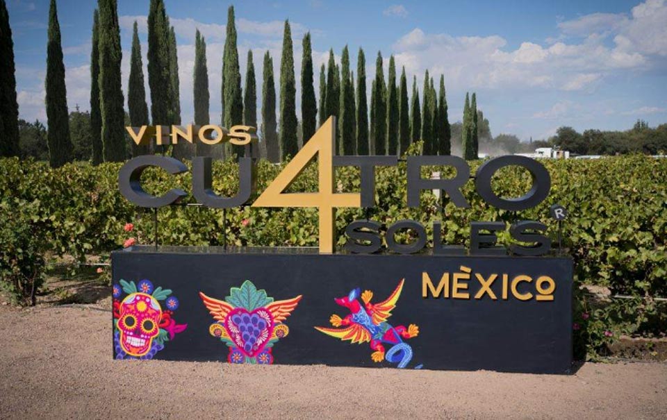 Vendimia de Vinos Cuatro Soles, una experiencia única