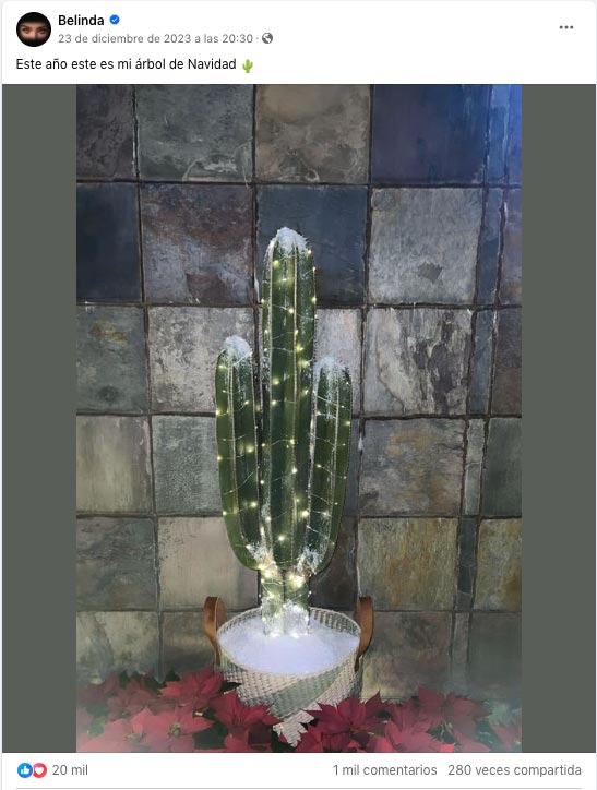Le siguió su árbol de Navidad, que terminó siendo un cactus. Foto: Captura del FB de Belinda