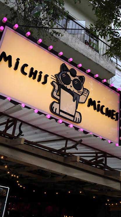 1.- Michis Miches Villalogín
