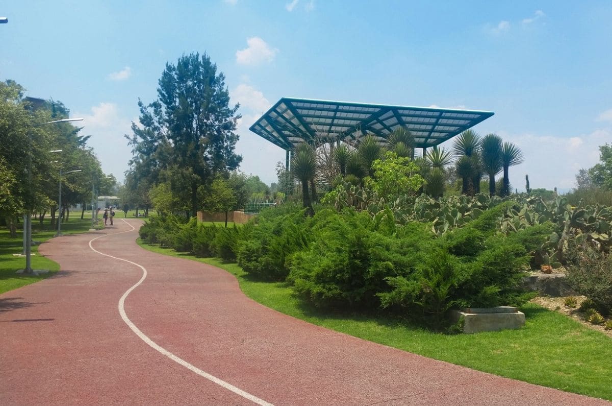 Parques y Bosques