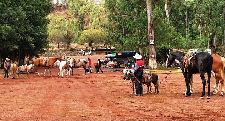 aprende a montar caballo