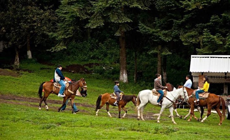 ¿Cómo aprender a montar a caballo? Consejos útiles