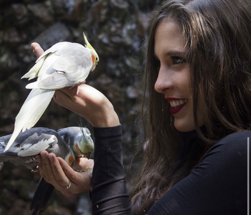 el nido santuario de aves 