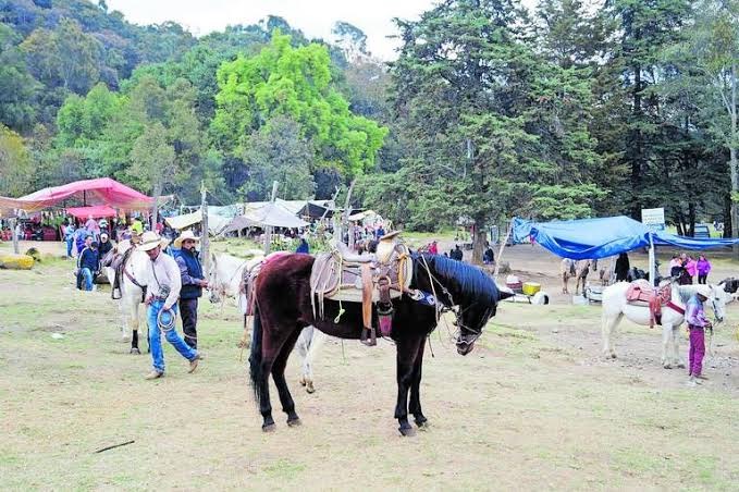 montar caballo en lugares templado