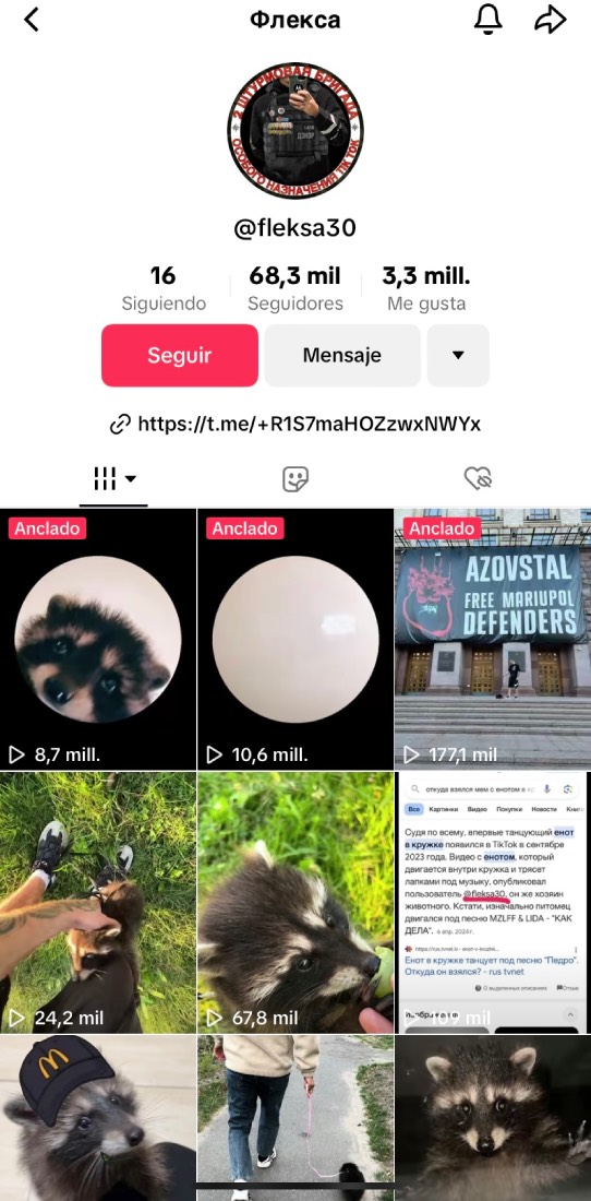 video original de pedro en tiktok 