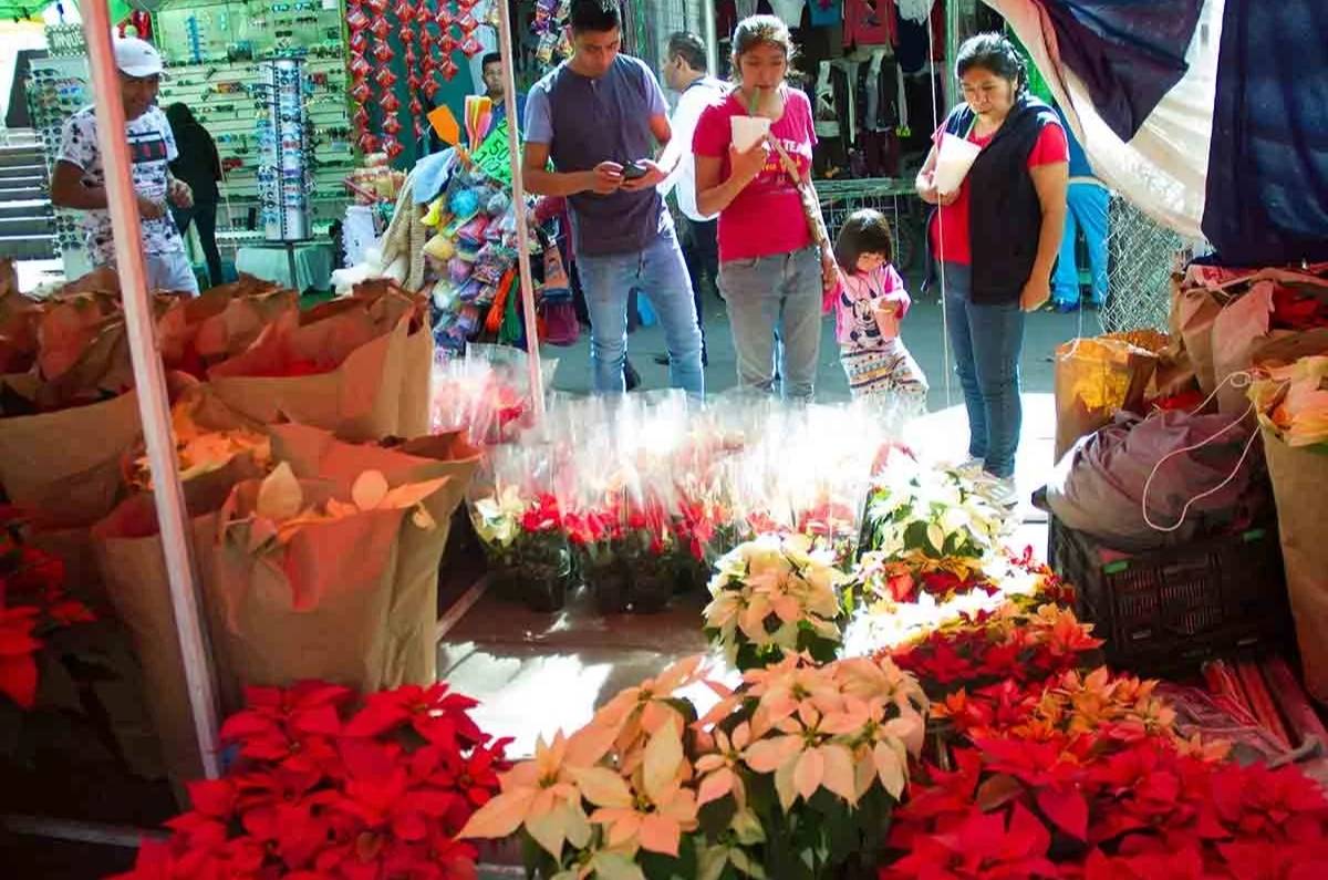 Mercado de Jamaica: Flores y Adornos Navideños