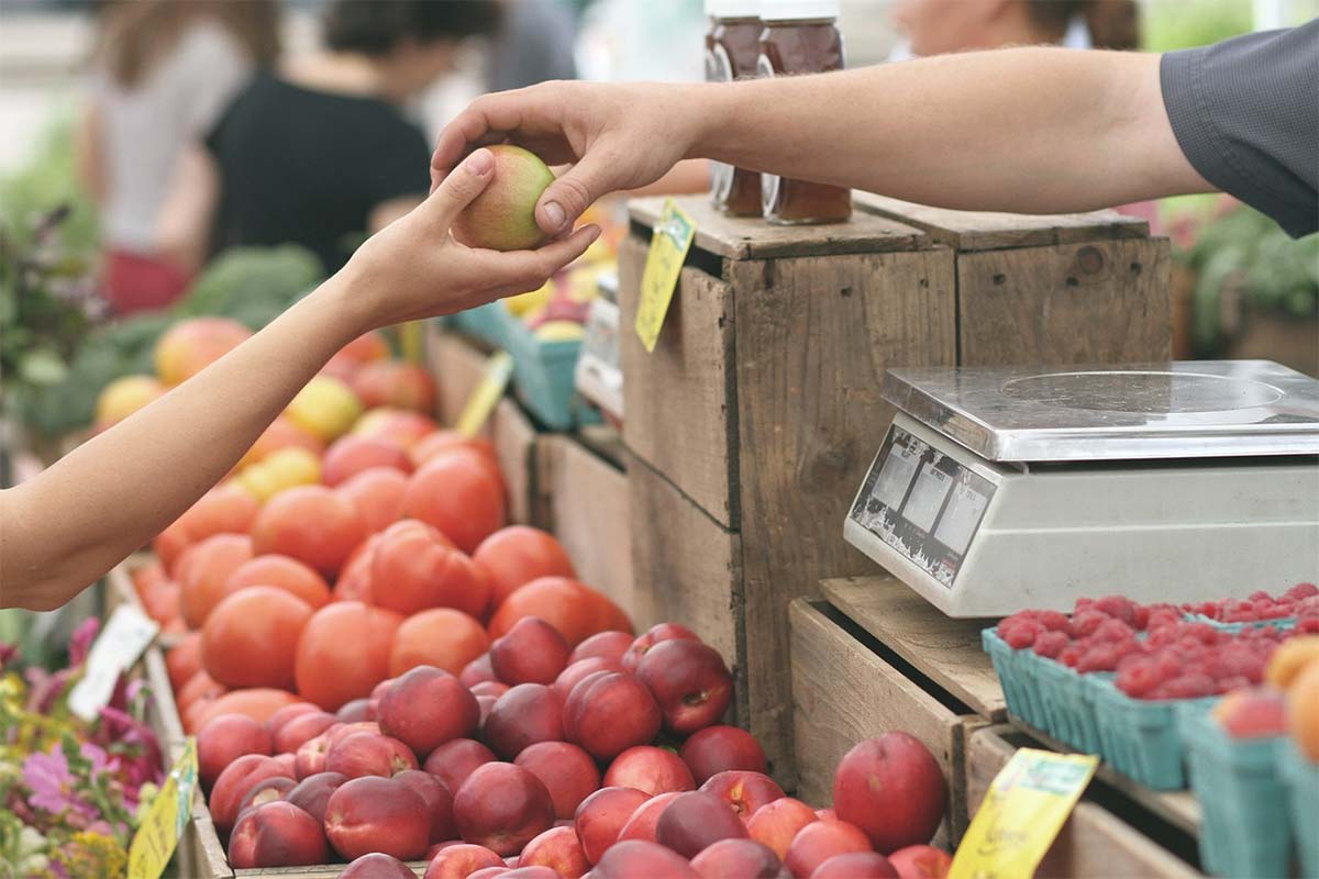 4. Aprovecha ofertas y compara precios