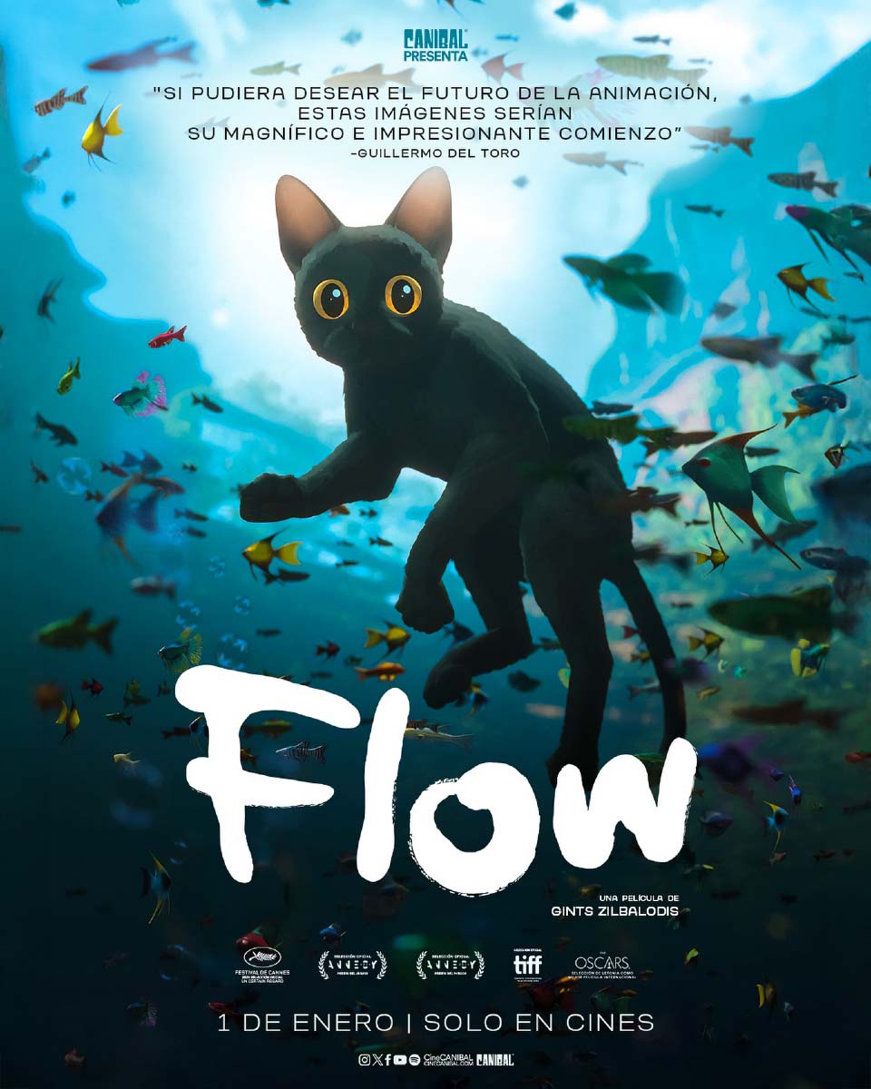 2.- Flow