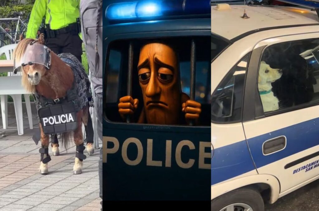 ‘Nooo, la polizia nooo’, origen del audio viral de TikTok y memes