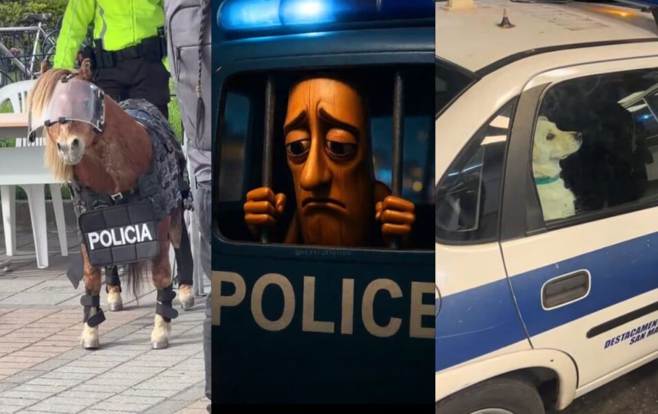 ‘Nooo, la polizia nooo’, origen del audio viral de TikTok y memes