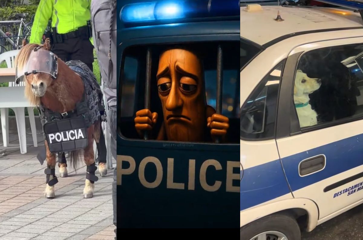 nooo-la-polizia-no-audio-viral-tiktok-origen-memes