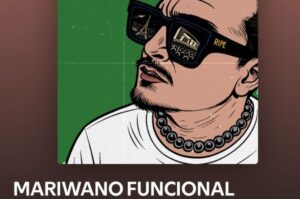 Mariwano Funcional: Letra del rap de Ricardo Pérez de La Cotorrisa