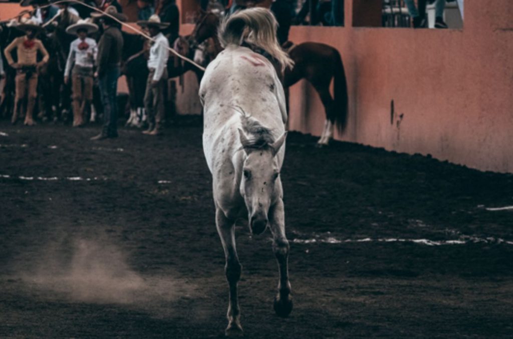 Segundo Charro Fest