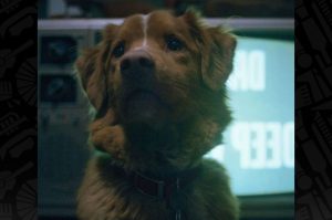 ¿El perro de Good Boy muere? Estreno, trama y trailer de la película de terror