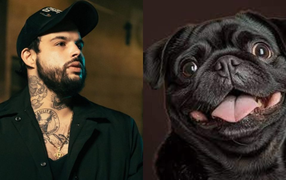 Emiliano Aguilar vs Gordo el Pug, ¿cuál de los dos gana más dinero en redes?