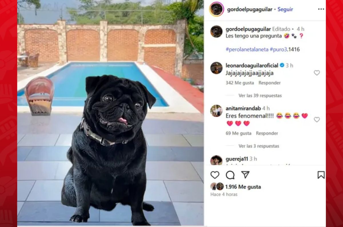 gordo aguilar emiliano aguilar perro burla