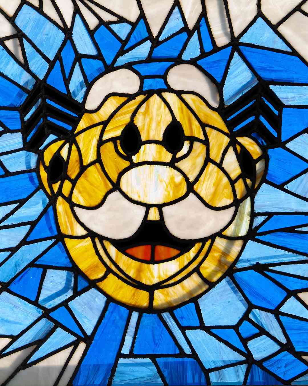 SimiCasa: El museo del Dr. Simi que celebra un legado inspirador