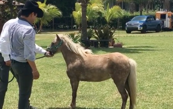 Julión Álvarez se cae de un pony