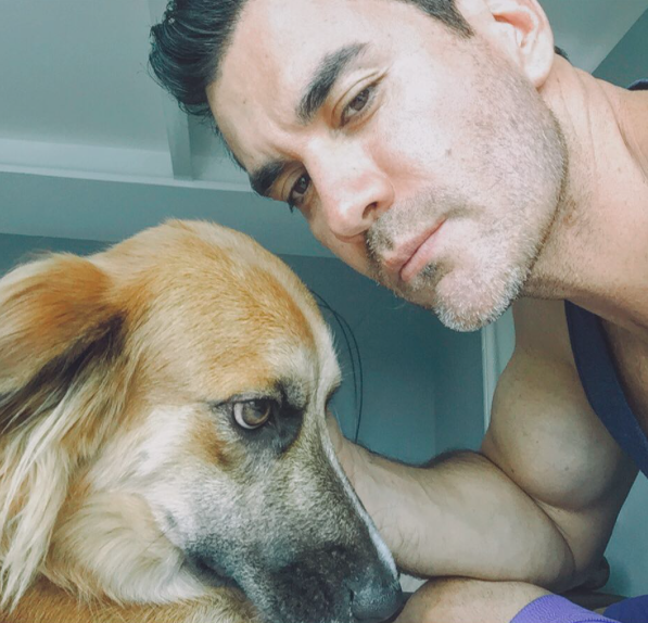 DAVID ZEPEDA PERRO