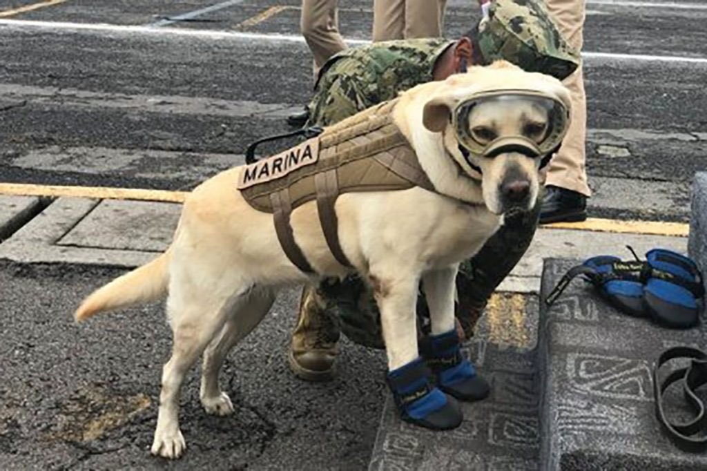 FRIDA