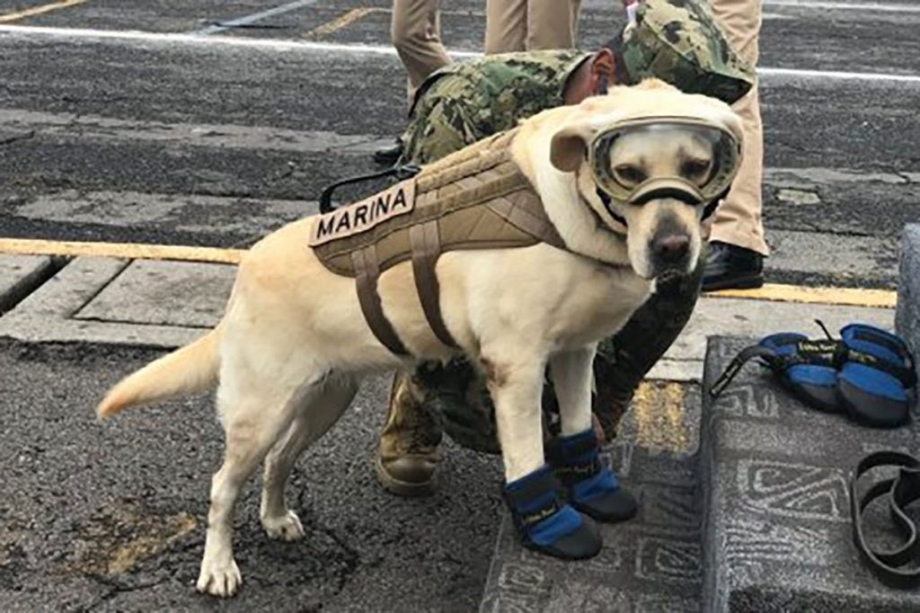 FRIDA, MÁS QUE ESPERANZA PARA LOS MEXICANOS