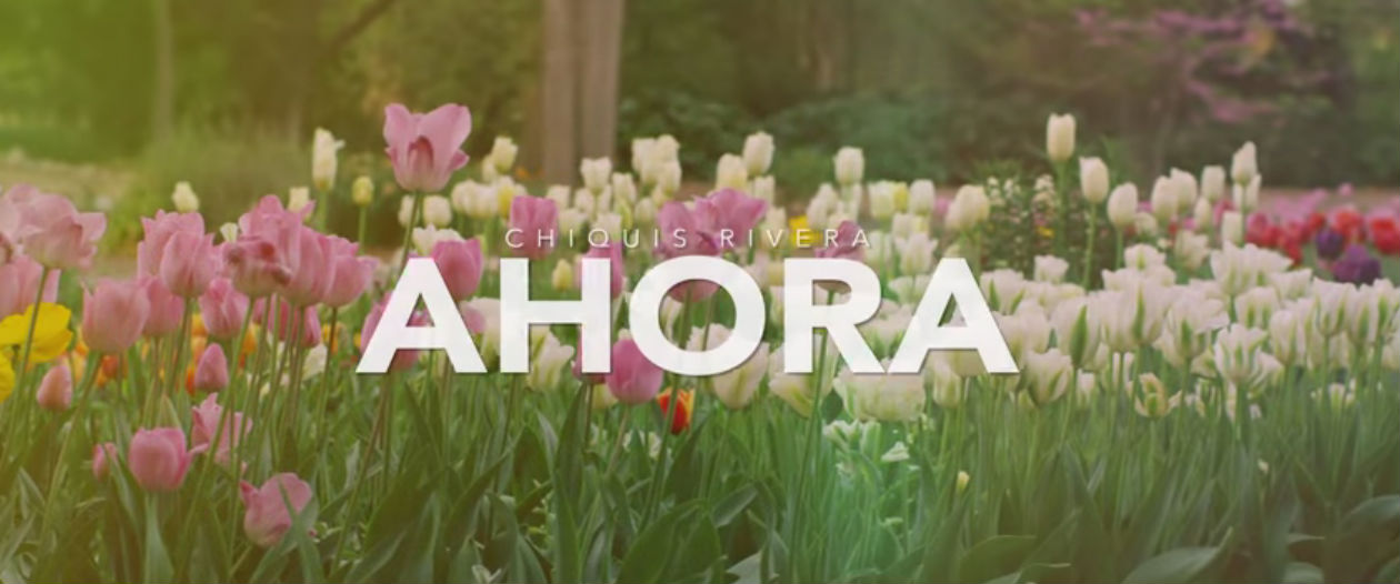 Mira el nuevo video de Chiquis Rivera “Ahora”