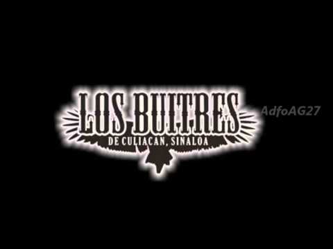 Los Buitres De Culiacán Sinaloa nos dicen “Mejor Soltero” en su nuevo sencillo.