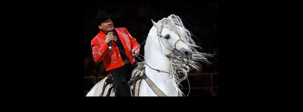 Murió “El Padrino” de Joan Sebastian, su corcel blanco